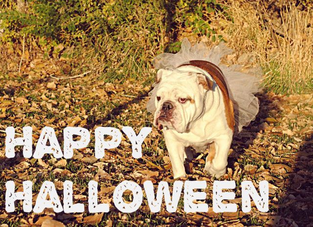 halloween2012_2