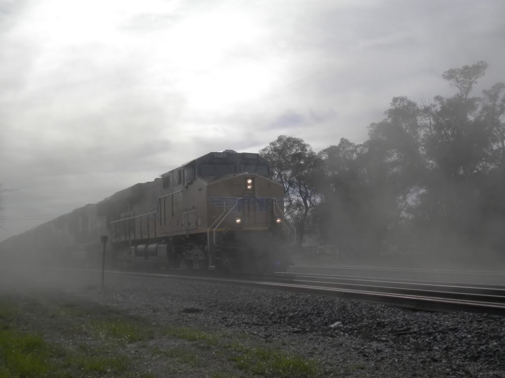 UP7683.jpg