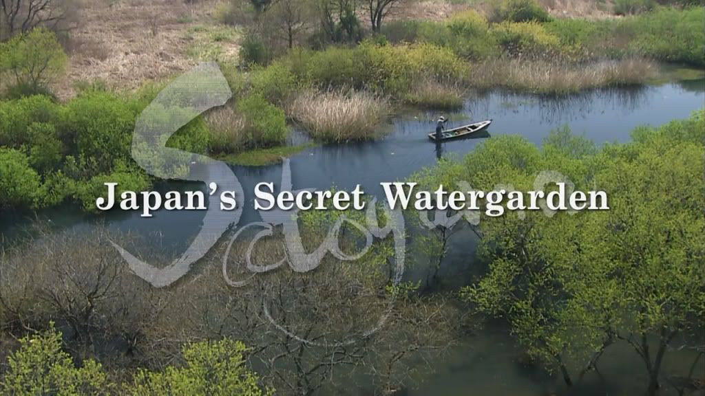 Natural World   Satoyama  II   Japan's Secret Watergarden (2004) [HDTV 720p (x264)] Subs * DW Staff preview 0