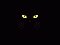 kcno91jpg.gif