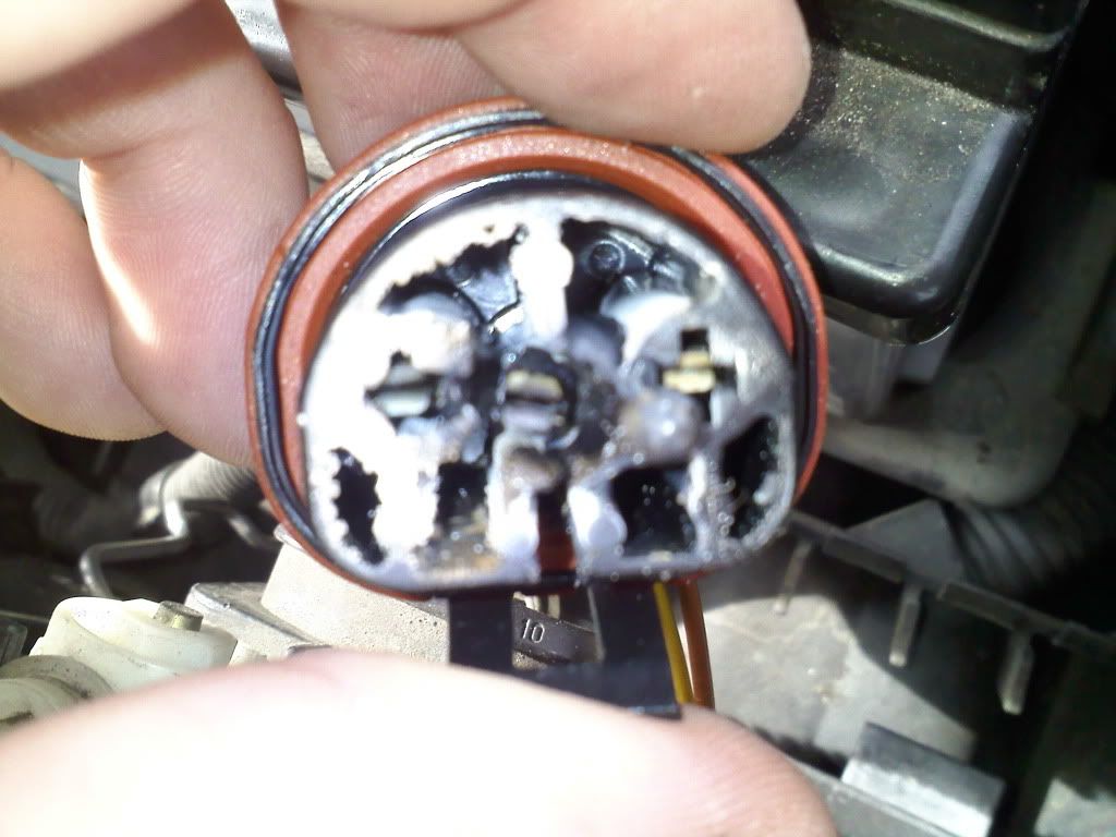 Headlight Plug Volkswagen Jetta Junkies