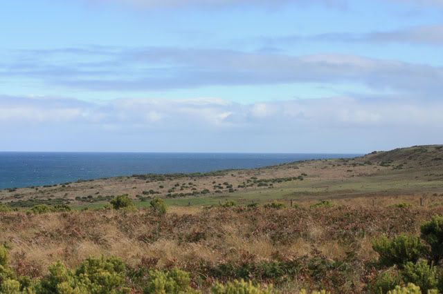 Cape Bridgewater