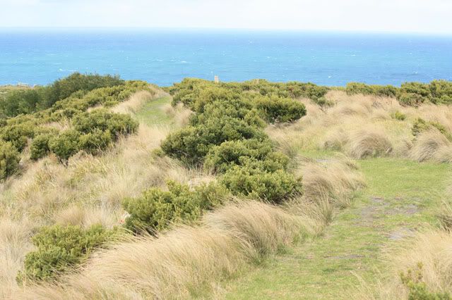 Cape Bridgewater