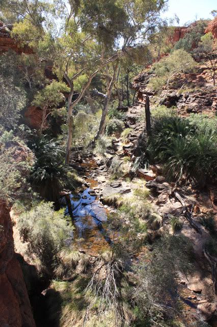 Warrtaka, Kings Canyon Australie