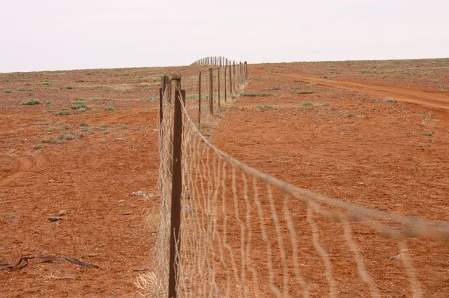 Barrière anti dingos Australie