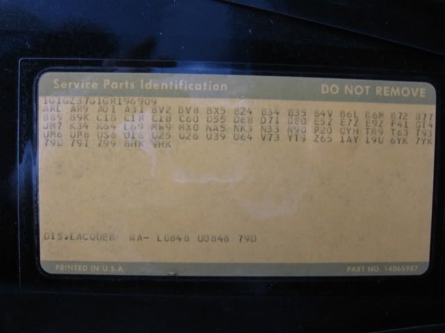 IMG 0257