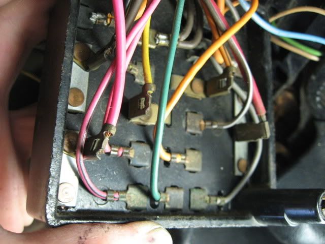 IMG 7156
