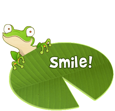 funny cartoon faces. Frog#39;s smiley cartoon face