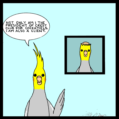 bird cartoon