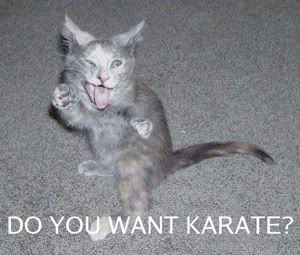 karate Pictures, Images and Photos