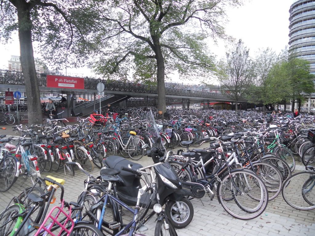 ams28.jpg