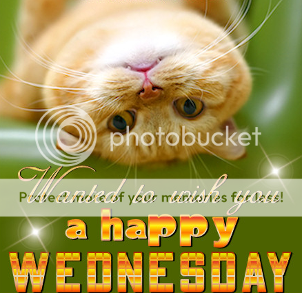 Happy Wednesday!!!! Pictures, Images and Photos