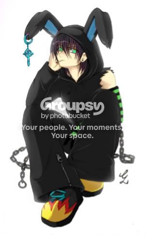 User Image