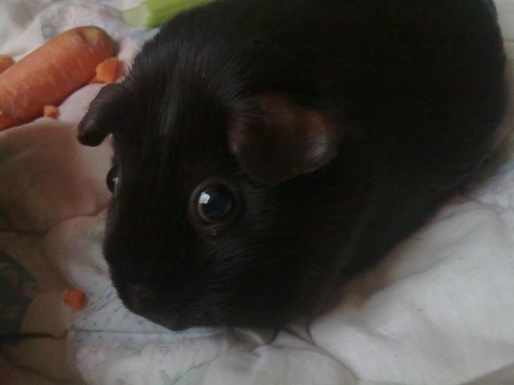 10092010131.jpg
