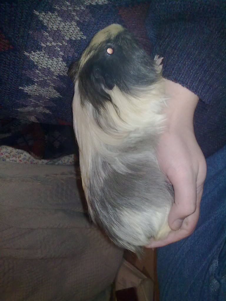 20102010180.jpg